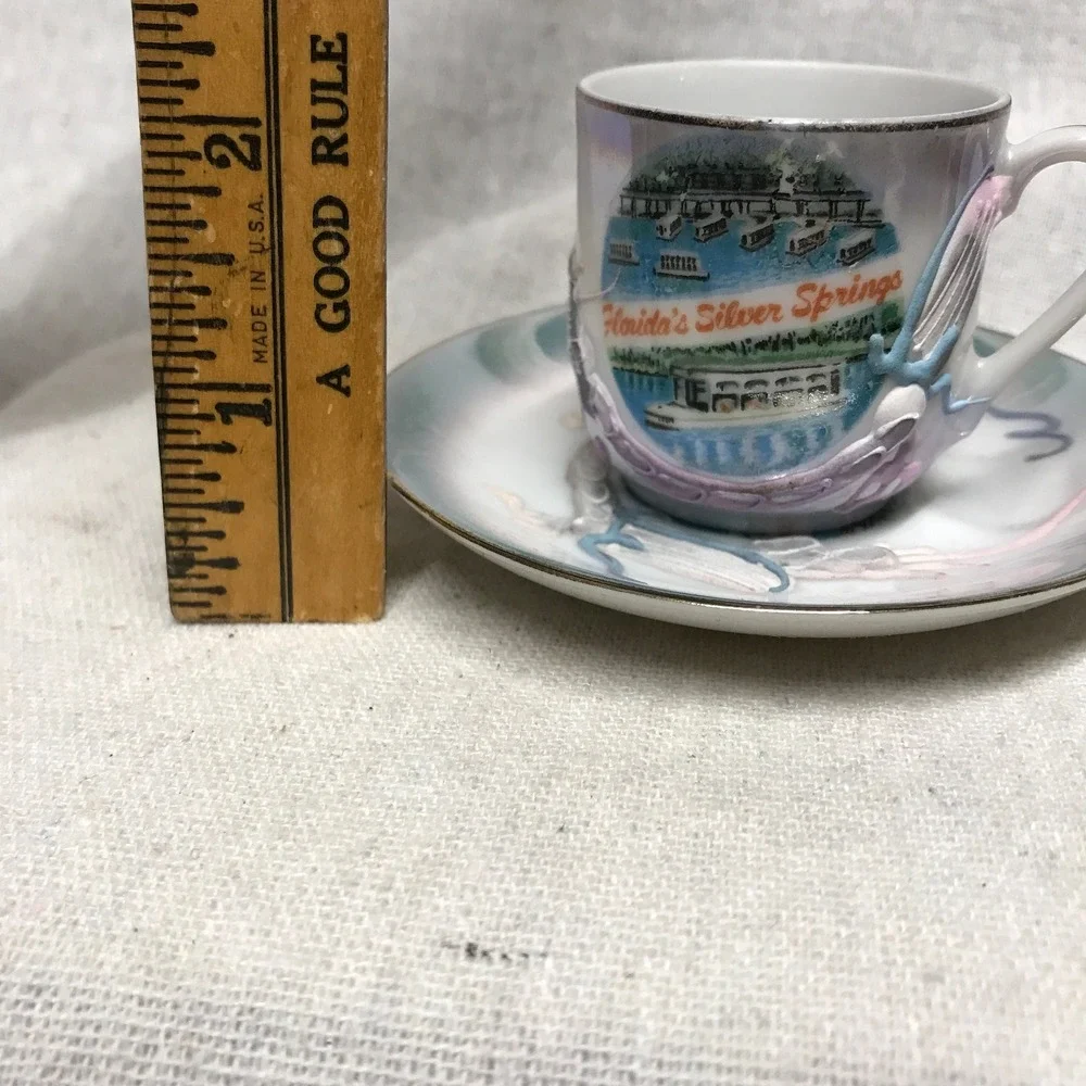 N/A florida silver